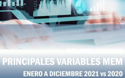 Variables Relevantes del MEM – RESUMEN ANUAL 2021