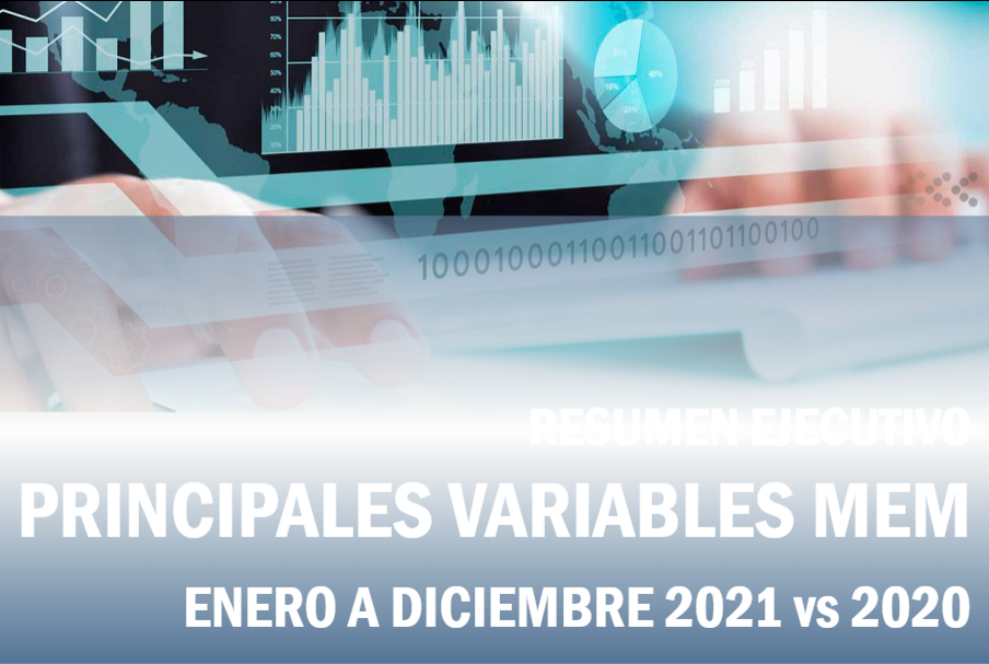 Variables Relevantes del MEM – RESUMEN ANUAL 2021