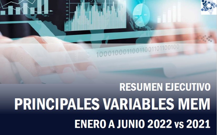 Resumen Ejecutivo Enero a Junio 2022