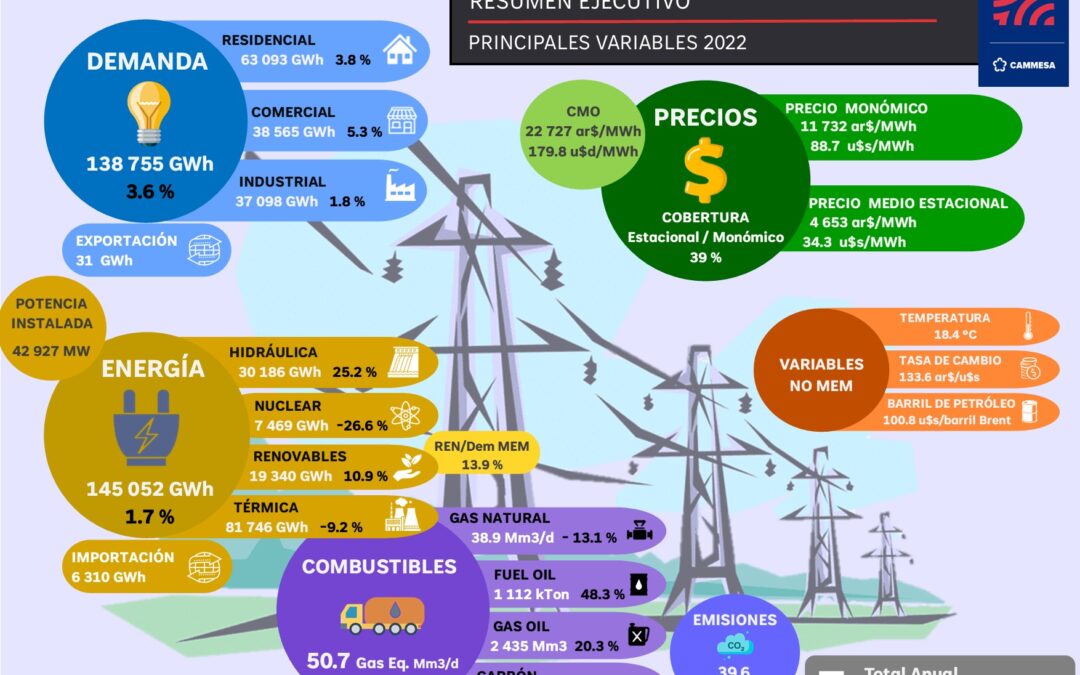 Variables Relevantes del MEM – RESUMEN ANUAL 2022
