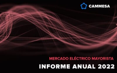Informe Anual 2022
