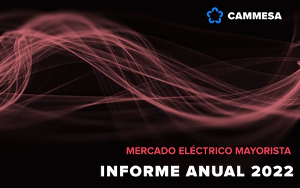 Informe Anual 2022